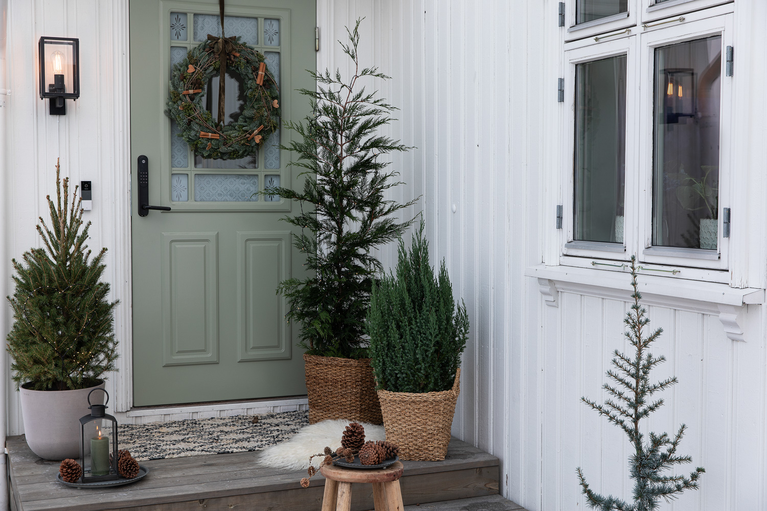 Pynt med vintergrønne planter
